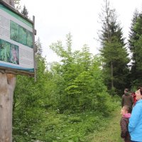 Ścieżka Przyrodnicza Malinka, fot. B. Tyrna