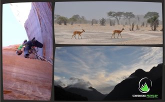 Fotografie przedstawiające przyrodę