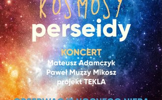 gwiazdy, kosmosy, perseidy