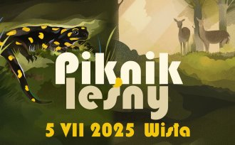Piknik leśny