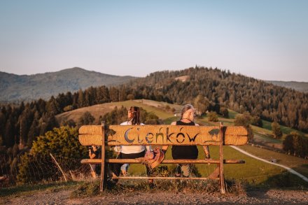 gwiazdy, kosmosy, perseidy