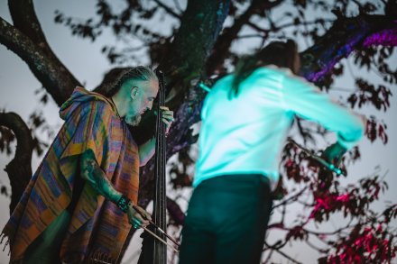 gwiazdy, kosmosy, perseidy