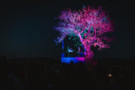 gwiazdy, kosmosy, perseidy