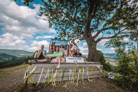 Zdjęcia pod magicznym drzewem