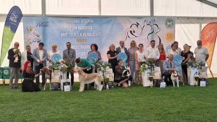 Międzynarodowa Wystawa Psów Rasowych