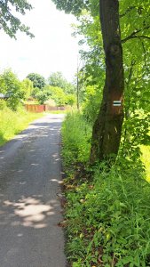 zmiany na odcinku Dziechcinka-Kobyla