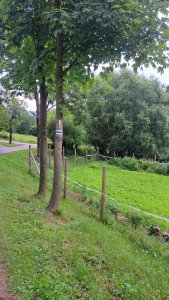 zmiany na odcinku Dziechcinka-Kobyla