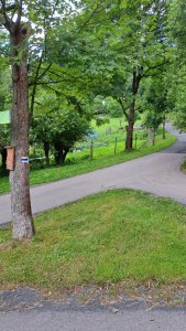 zmiany na odcinku Dziechcinka-Kobyla