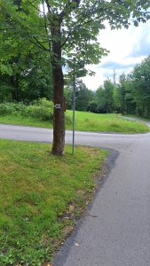 zmiany na odcinku Dziechcinka-Kobyla