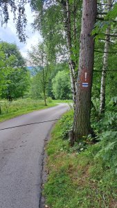 zmiany na odcinku Dziechcinka-Kobyla