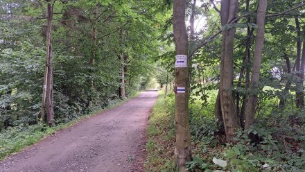 zmiany na odcinku Dziechcinka-Kobyla