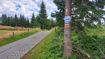 zmiany na odcinku Dziechcinka-Kobyla