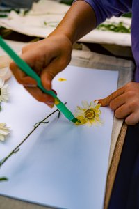 Malowanie na polanie