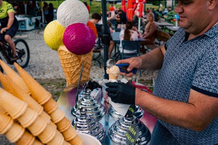 Lody z mleka owczego