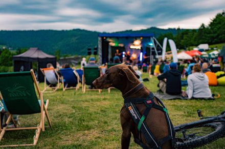 Dziewięćsił Festiwal - Wisła Cieńków