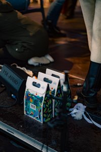 Dziewięćsił Festiwal - Wisła Cieńków