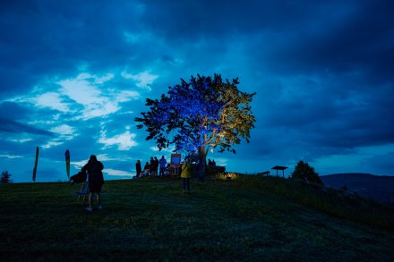 Dziewięćsił Festiwal - Wisła Cieńków