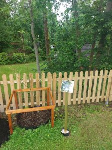 uroczyste zasadzenie drzewa jabłoni