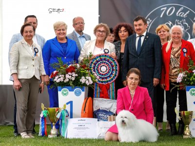 III Międzynarodowa Wystawa Psów Rasowych