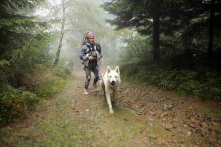 Dogtrekking w Wiśle