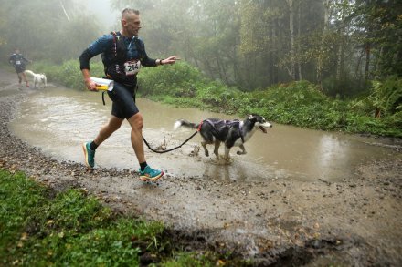 Dogtrekking w Wiśle