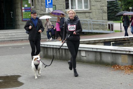 Dogtrekking w Wiśle