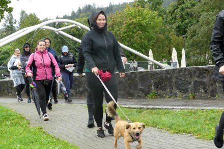 Dogtrekking w Wiśle