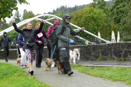Dogtrekking w Wiśle
