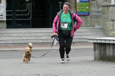 Dogtrekking w Wiśle