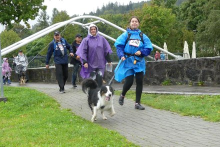 Dogtrekking w Wiśle