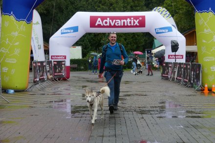 Dogtrekking w Wiśle