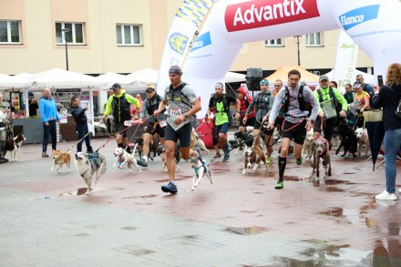 Dogtrekking w Wiśle