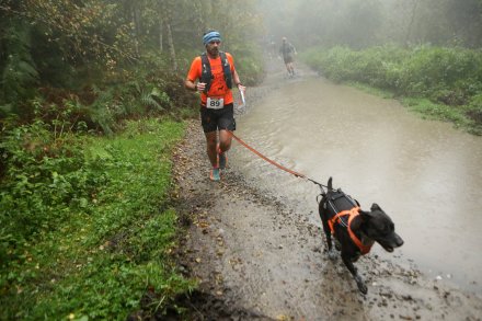 Dogtrekking w Wiśle