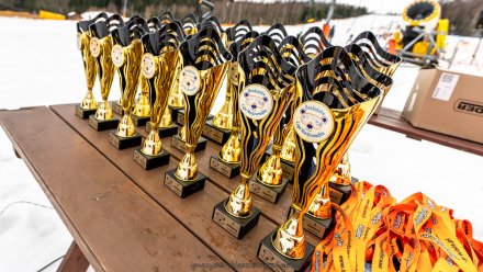 Beskidzka Liga Niedźwiadka