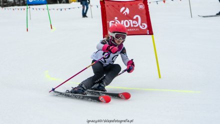 Beskidzka Liga Niedźwiadka