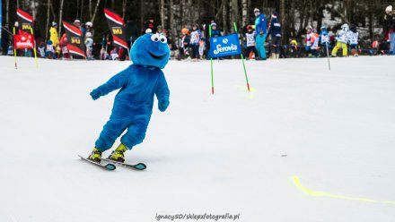 Beskidzka Liga Niedźwiadka