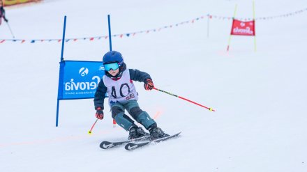 Beskidzka Liga Niedźwiadka