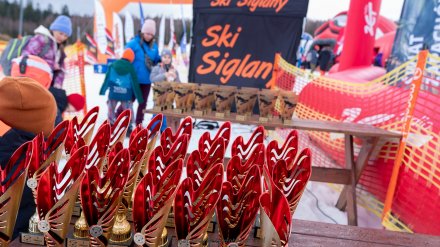 Beskidzka Liga Niedźwiadka