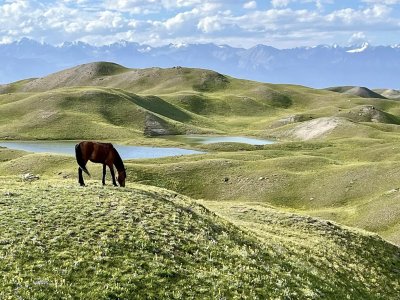 Wyprawa na Pik Lenina