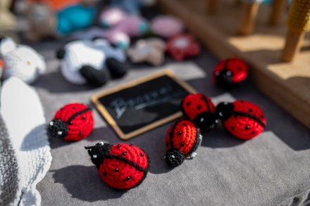 Górskie Opowieści 2025