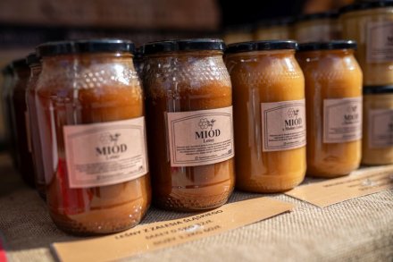 Górskie Opowieści 2025