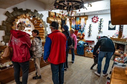 Galeria u Niedźwiedzia