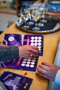 Muzeum Magicznego Realizmu Ochorowiczówka