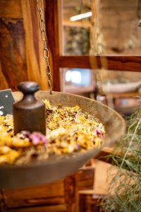 Habsburska Osada Gospodarcza "U początków Wisły"