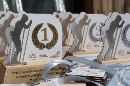 XVII Mistrzostwa w Sprintach na Nartorolkach stylem klasycznym
