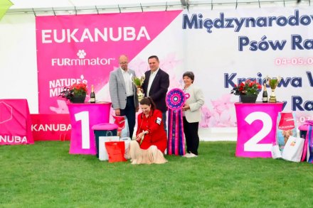 Międzynarodowa Wystawa Psów Rasowych Wisła 2026