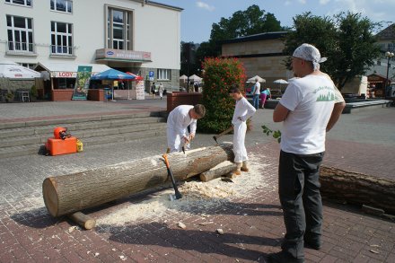 Stoiska edukacyjne Lasów Państwowych na Pl. B. Hoffa