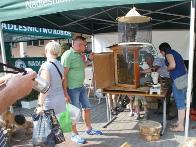 Stoiska edukacyjne Lasów Państwowych na Pl. B. Hoffa