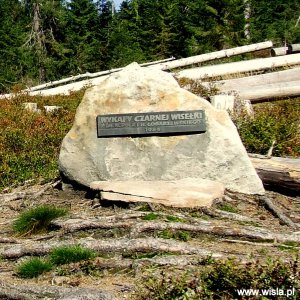 Wykapy Czarnej i Białej Wisełki