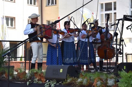 Koncert kapel na małej estradzie